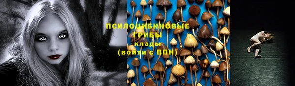 эйфоретик Осинники