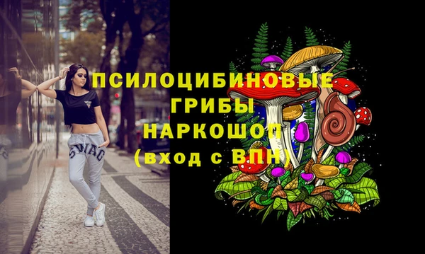 эйфоретик Осинники