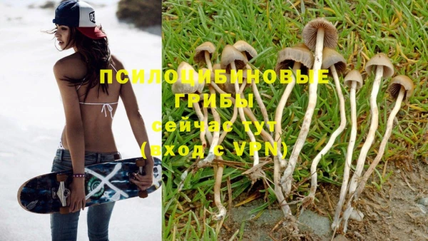 эйфоретик Осинники